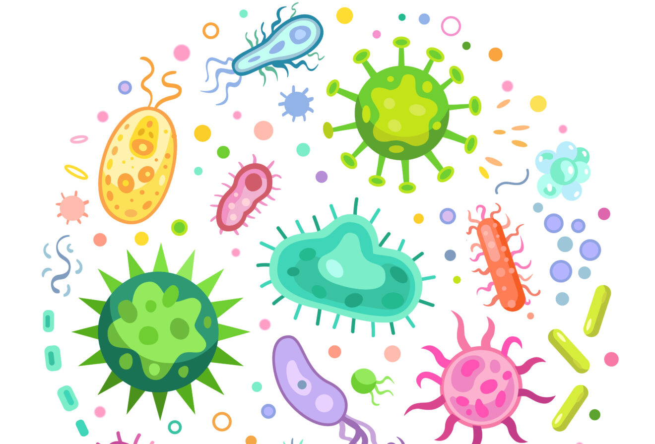 Le microbiote, cet ami essentiel à notre survie et pour communiquer avec notre environnement.